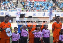 曝法国请愿重踢世界杯决赛,法国举行世界杯