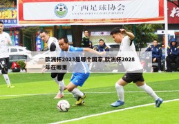 欧洲杯2023是哪个国家,欧洲杯2028年在哪里