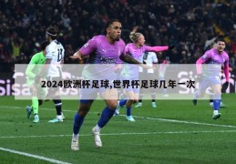 2024欧洲杯足球,世界杯足球几年一次