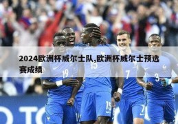 2024欧洲杯威尔士队,欧洲杯威尔士预选赛成绩