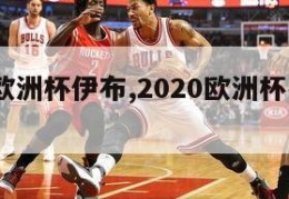 2024欧洲杯伊布,2020欧洲杯有伊布吗