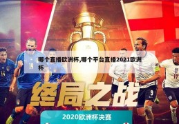 哪个直播欧洲杯,哪个平台直播2021欧洲杯