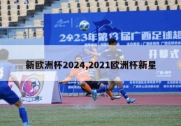 新欧洲杯2024,2021欧洲杯新星