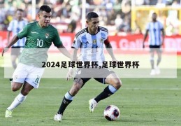 2024足球世界杯,足球世界杯