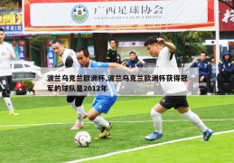 波兰乌克兰欧洲杯,波兰乌克兰欧洲杯获得冠军的球队是2012年